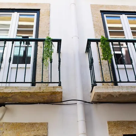 Appartement Colmeia